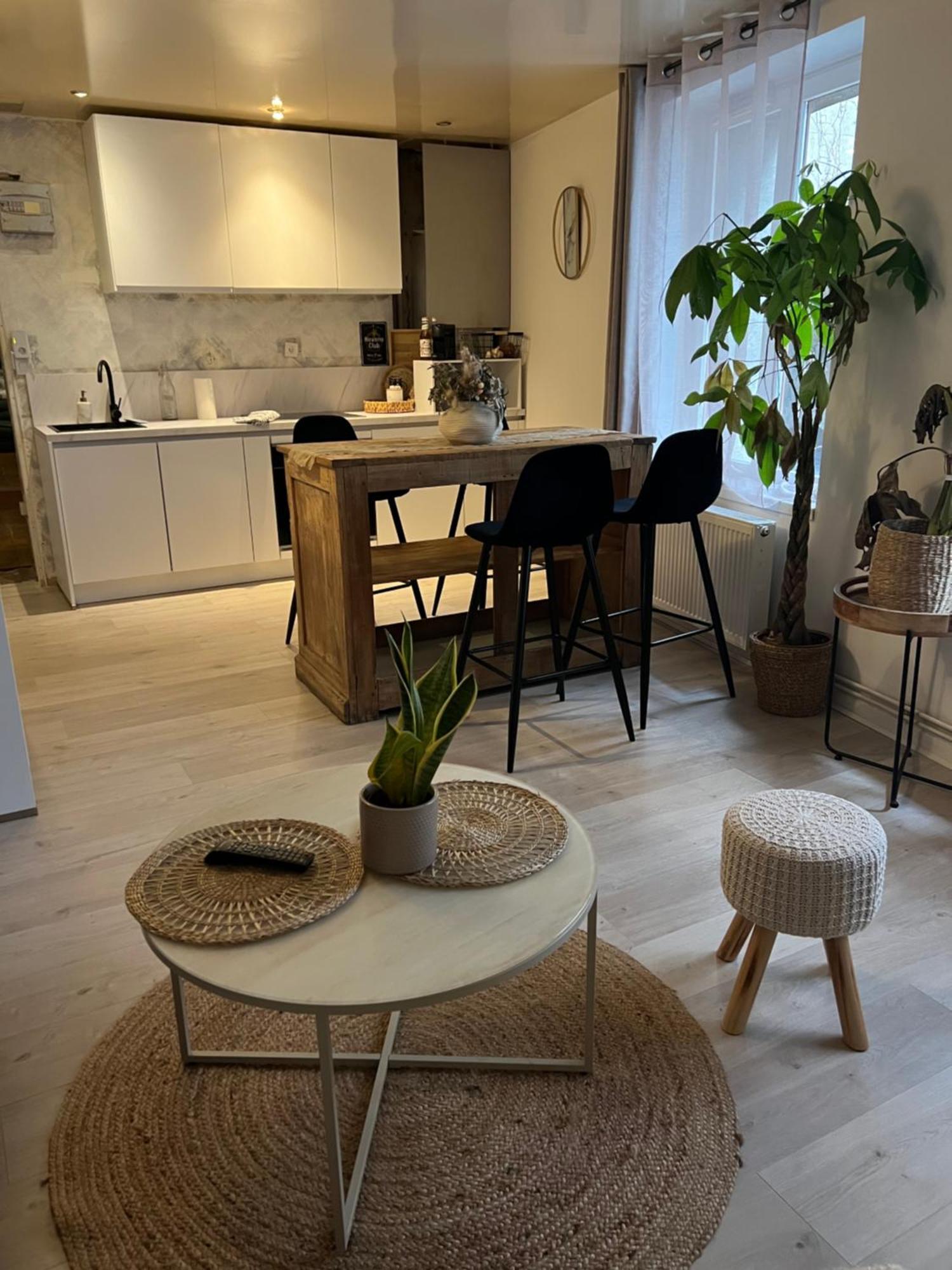 Apartment Superbe Hypercentre Royale Chatelet