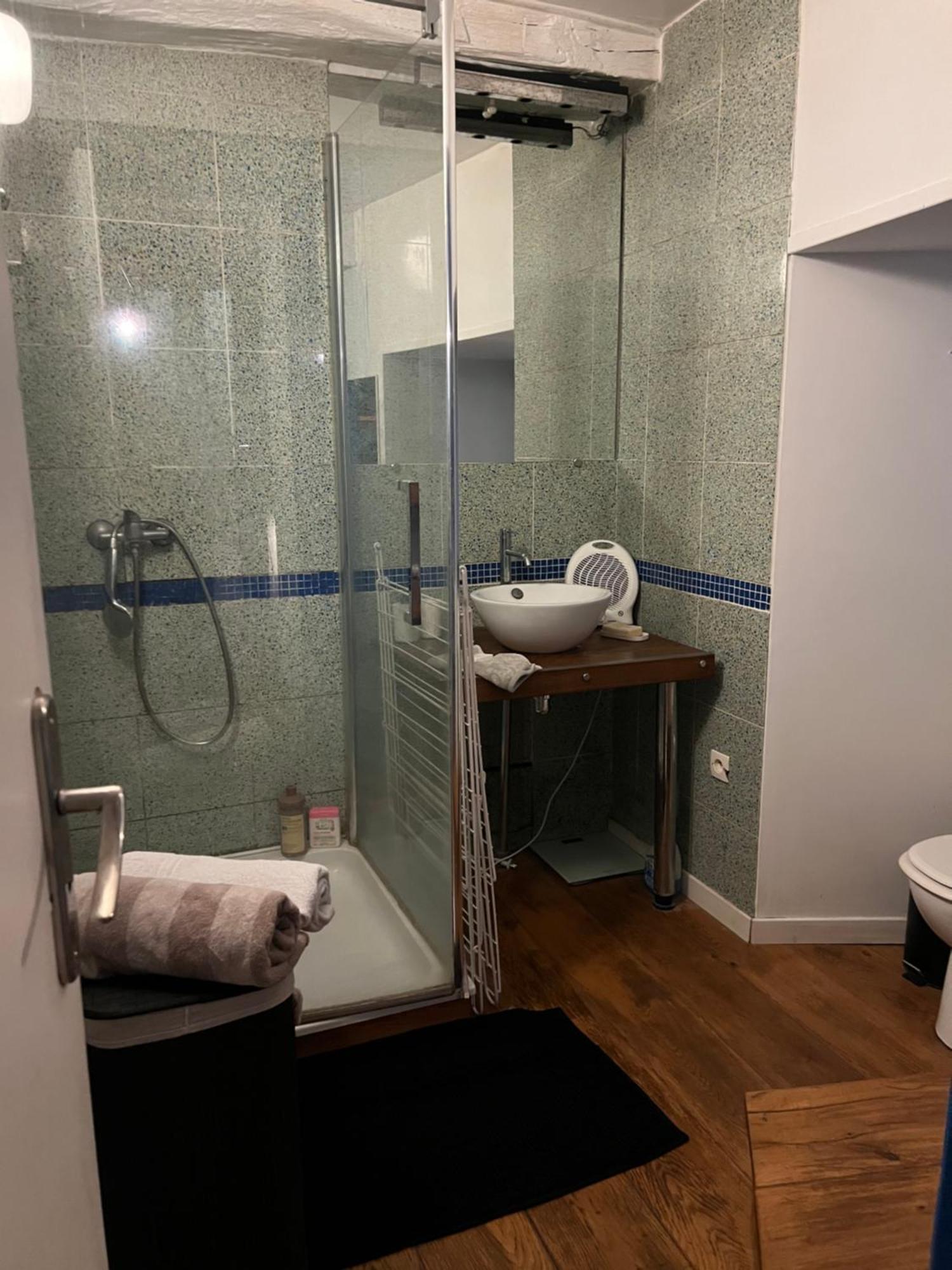 Superbe Hypercentre Royale Chatelet Apartment Orleans